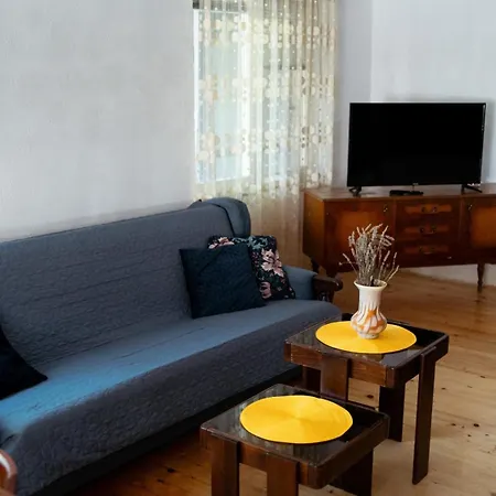 Ristic Apartment Vranje