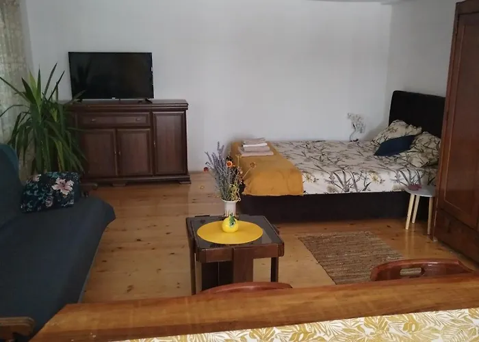 Апартаменты Ristic *